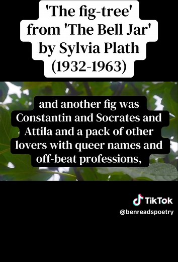 Exploring Sylvia Plath's 'The Fig Tree': A Deeper Look