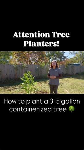Attention Tree Planters!!! 🌳 Watch this video for a quick, step-by-step guide on how to plant a 3–5 gallon containerized tree with Mahima, as part of the Urban and Community Forestry Tree Giveaway Program from the Tennessee Environmental Council. | Tennessee Environmental Council