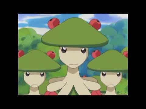 Shroomish and Breloom Pokédex Entries..wmv