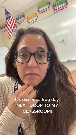 Frog Dissection Insights and Experiences