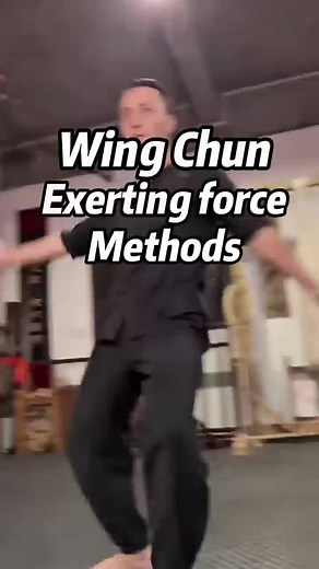 Wing Chun Exerting force Methods #wingchun #vingtsun #kungfu #selfdefense #self-defense #chinesekungfu #martialarts #chinesemartialarts #咏春 #咏春拳 #詠春拳 #詠春 #功夫 #中國功夫