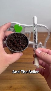 What Happens When You Put Earthworms in an Ant Castle?