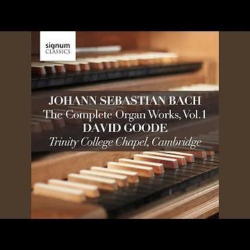 Six Schubler Chorales: II. Wo soll ich fliehen hin, BWV 646