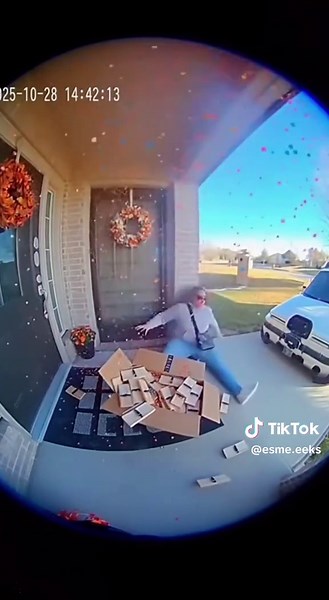 Porch Pirate Caught on Ring Doorbell Camera