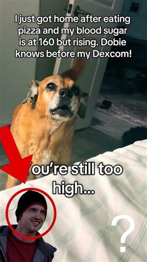 Is This Jesse Pinkman? 😂 | Breaking Bad Meme