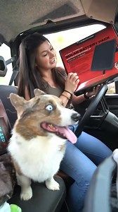 Smarter, faster, and more connected than ever before. Experience Stealth Cam today! | Stealth Cam