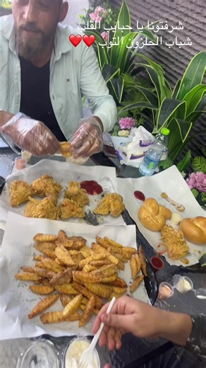 DR.SCHNITZEL على TikTok