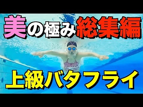 Butterfly Compilation! Serika's beautiful and tireless butterfly stroke!