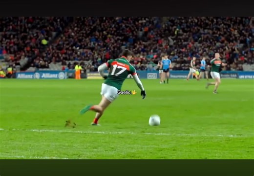 Exploring the Richness of Gaelic Culture