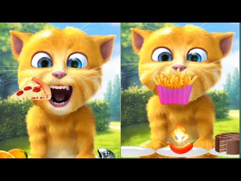 😹🎉 Ginger Can’t Stop Jumping! 🤣🔥