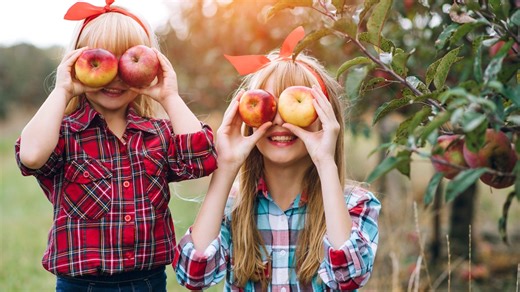 Apple orchards to check out this fall