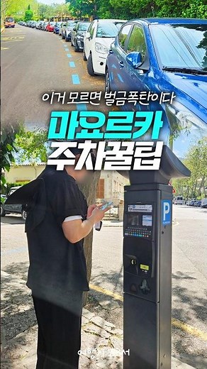 마요르카 운전한다면 꼭 알아야 할 여행 팁 | 주차선 색깔 체크 필수🚙