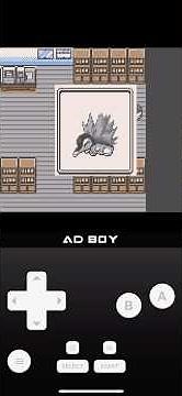 Choosing a Starter Pokémon - Pokémon Silver & Gold Edition