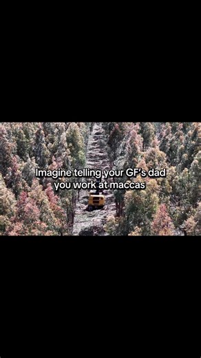 Logging with Tigercat Machines in Tasmania