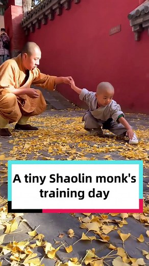 Even his master couldn't get over his cuteness! This little monk started practicing Shaolin Fist at just two years old and was perfecting his moves under the master's guidance. | Discover China