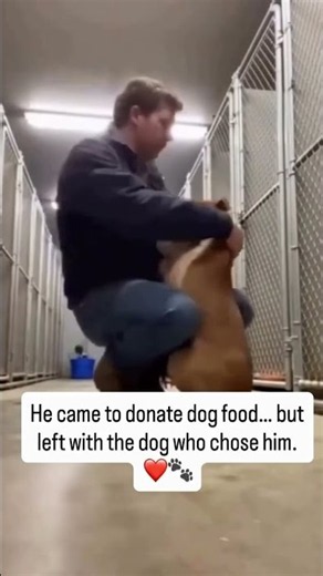 Thomas wasn’t looking to adopt. He wasn’t even searching for a dog.