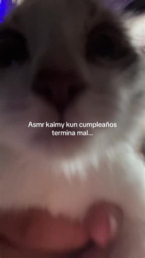 Chill ASMR Experience with Gacha Life Characters