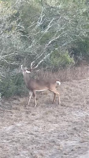 7.2K views · 320 reactions | Sunday Funday done right 鸞 Big bucks,...