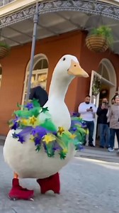 Pretty Ducks Waddle Like This 🦢✨ #WaddleWednesday #CuteDucks #AnimalMagic #DuckTales #PetVibes #QuackQuack #NatureFun #AdorableAnimals #FeatheredFriends #WaddleAndSmile | seducktive