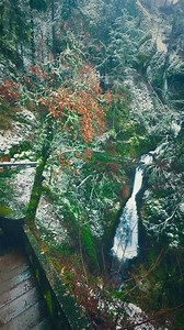 14K views · 1K reactions | A waterfall slips through mossy basalt cliffs, a quiet reminder of the timeless beauty in the Columbia River Gorge. Pacific Northwest  @izak.photography #beautifuldestinations #pnw #nature #pacificnorthwest #waterfalls #pnwexplored #forest #waterfalllovers #discoverearth #divineforest #pnwphotographer #pnwwonderland #pnwadventures #pnwcollective #pnwhiking #pnwphotography #pnwlife | Izak Photography | Facebook