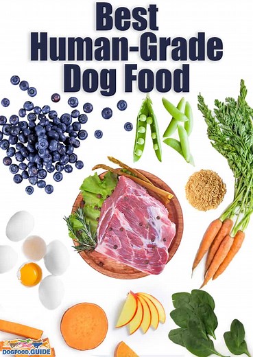 Best Human Grade Dog Food: 10 Premium Picks for Quality Nutrition