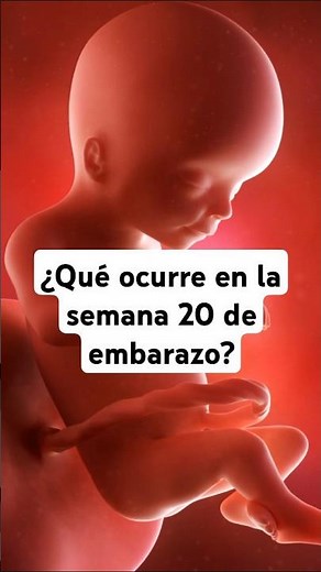 🤔 What happens in week 20 of pregnancy? 🤰 Symptoms and baby development