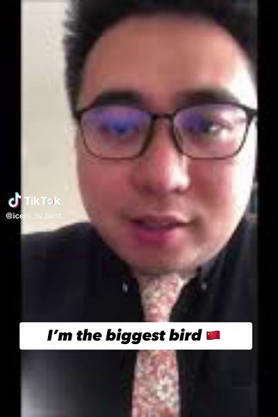 IM THE BIGGEST BIRDDDD #BIRD #biggestbird #iceni #school #teachers