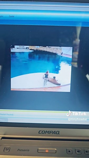 Dancing Walrus Showcases Vintage Computer Sale