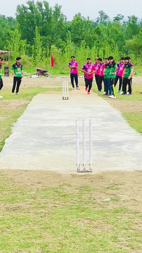 Toss on Stump: Dagger Lion Sports Complex Guide