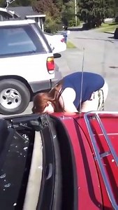 Crazy Ex Wife Destroys Car With a Hammer | Mediatakeoff