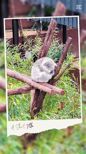 Places to visit in Sydney, New South Wales, Australia (澳大利亚悉尼)