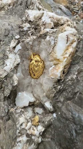 ASMR Satisfying Gold Nugget Revealed in Quartz ✨🪨