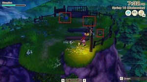 Story of Seasons: Grand Bazaar Foraging Guide - All Forageables List