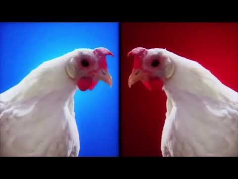Techno Chicken Song #music #chicken #remix