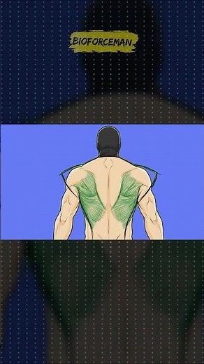How To Actually Build A V-Taper Back ⚠️