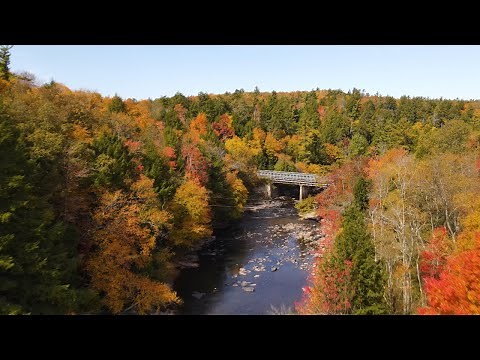 Swallow Falls State Park - Oakland, MD - 4K Autumn Folliage Aerial Drone Footage
