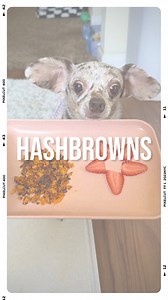 So hekkin yammy! 😋Hashbrowns recipe: •1 small sweet potato •1 Tbsp Unrefined organic coconut oilPeel sweet potato and cut into medium pieces. Place in food processor and chop until fine. Heat pan on medium heat and place coconut oil in pan. Cook sweet potato until starts to brown (5-7 minutes). Remove from pan and let cool. Enjoy! ⚠️ Some dogs may be sensitive to certain ingredients. Have them try small sample first. These are considered treats and should not be substituted for meals. Consult y