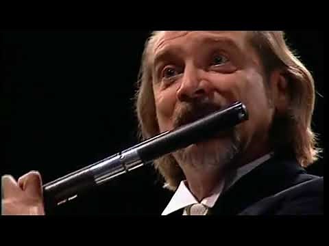 Mozart Flute & Harp Concerto C major K 299 Neville Marriner