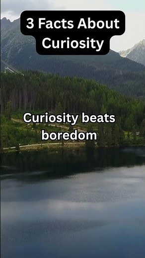 Facts About Curiosity That Will Change How You Think 🤯 - Psychological facts