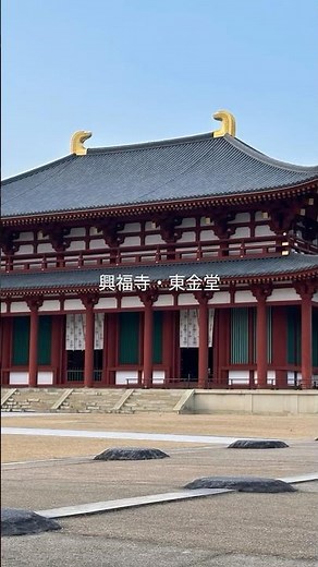 興福寺・国宝東金堂の夜間特別拝観。