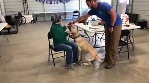 84 reactions · 9 comments | Andddd again! After two awesome handler trainings the past two weeks we start another one with Bowie today. So happy he finally got to meet his forever person and so much love pouring out of one dog  | Little Angels Service Dogs | Facebook