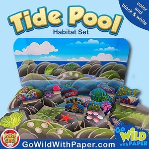 Tide Pool Habitat Craft Activity | Rock Pool Diorama Project