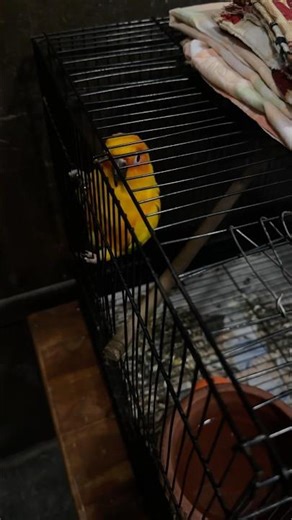 Showing off skills😆