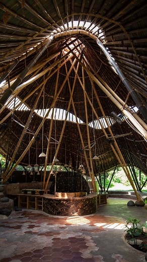 19K views · 738 reactions | Do you want to build with bamboo? Do you...