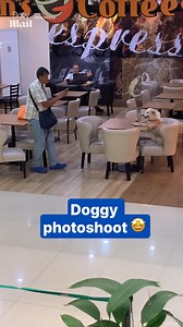 The perfect model 🤩 | Daily Mail Video