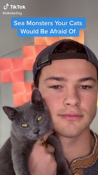 Another part of my favorite extinct ocean creature