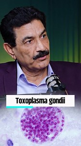 10K views · 26K reactions | Toxoplasma Gondii: A Hidden Threat to...