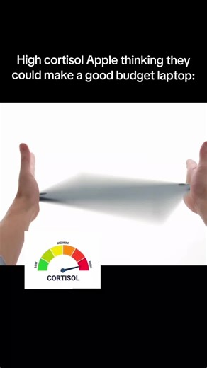 Apple's Budget MacBook vs. Old ThinkPad with Linux