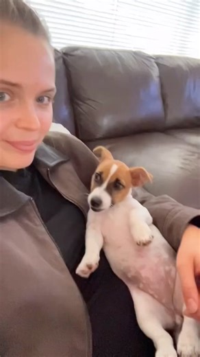 Mark on Instagram: "This might be exactly what your heart needs for Christmas… your own puppy like Princess Daisy and a whole lot of royal cuddles. 🎄🐾💖 Repost @princessdaisy.merkl ・・・ #PrincessDaisy #PuppyLove #RoyalCuddles #ChristmasMagic #HolidayPaws #DogsofInstagram #PuppyCuddles #FurryBestFriend #ChristmasJoy #PawsAndMagic #DogMoments #CutePuppyLove #HolidayVibes #FestiveFur #PupOfTheDay #InstaDog #PuppyHeart #MerryAndBright #ChristmasPups #CuddleSeason"