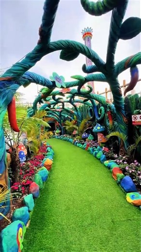 Taman Bunga Celosia Semarang | New Celosia Bandungan Flower Park – Best Instagrammable Garden, Java